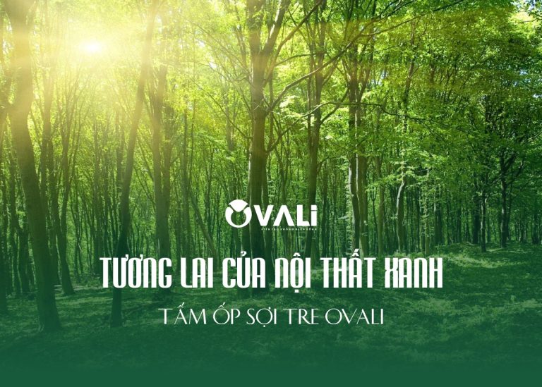 Mộc Mạc 4.0: Bảo Vệ Rừng Cùng Tấm Ốp Sợi Tre OVali – Tương Lai Của Nội Thất Xanh