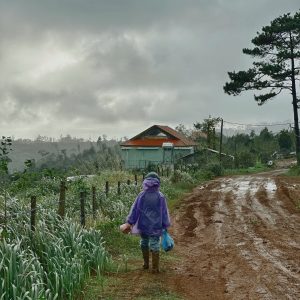 Mùa mưa trên Tây nguyên